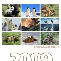 Календарь для ЧелябИнвестБанка: "Сохраним самое дорогое" - Многостраничный календарь